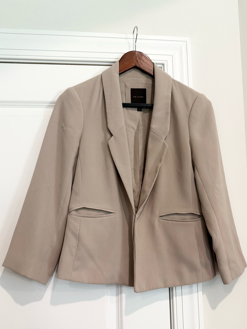 The Limited Tan Blazer